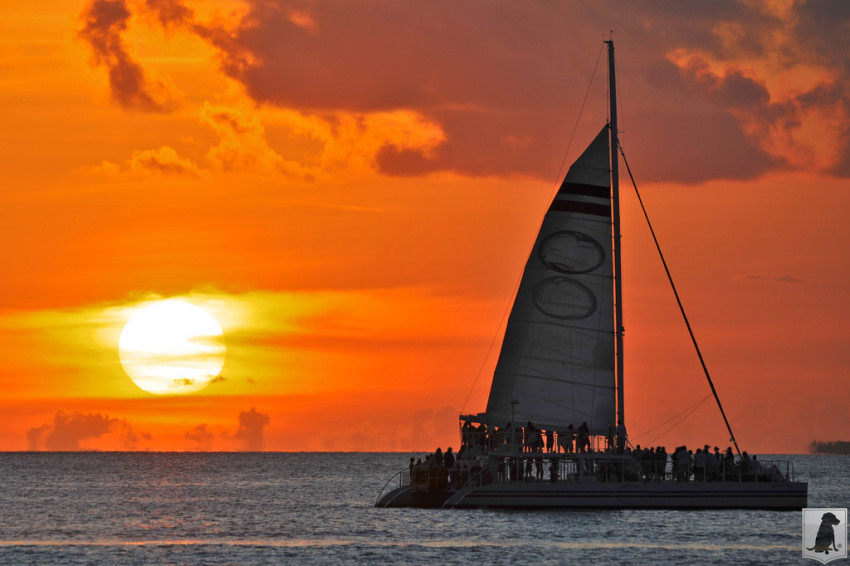 Sunset Sail $59.99
